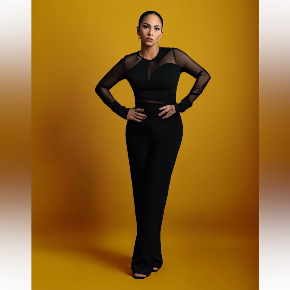 SHEIN Black Mesh Sleeve Jumpsuit